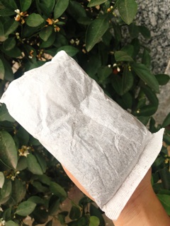 Túi trà đen lọc ( hồng trà)