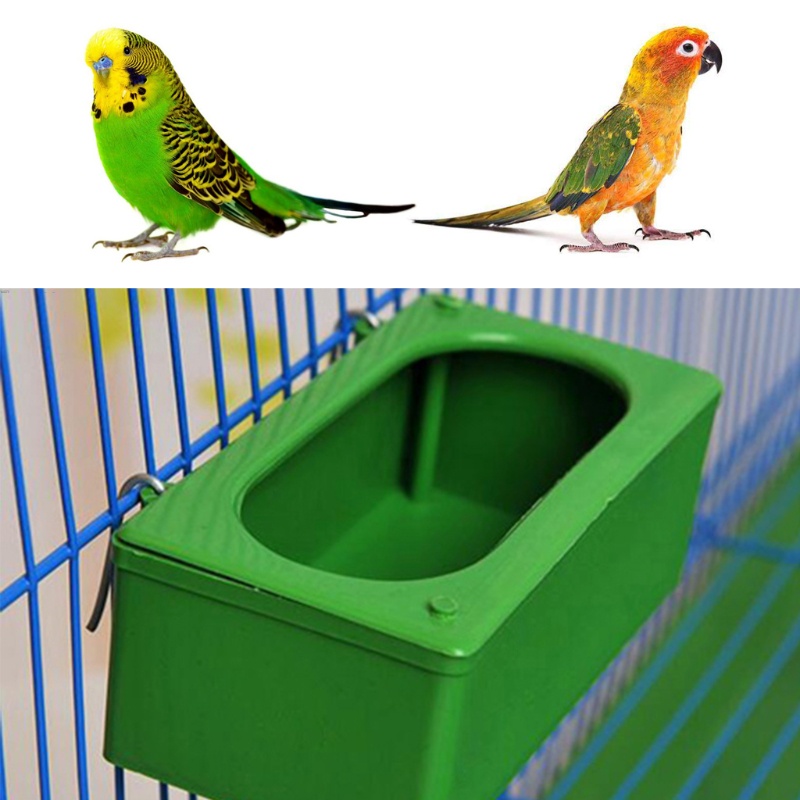 Dụng Cụ Cho Chim Ăn Bằng Nhựa Tiện Dụng Cho Chim Bồ Câu