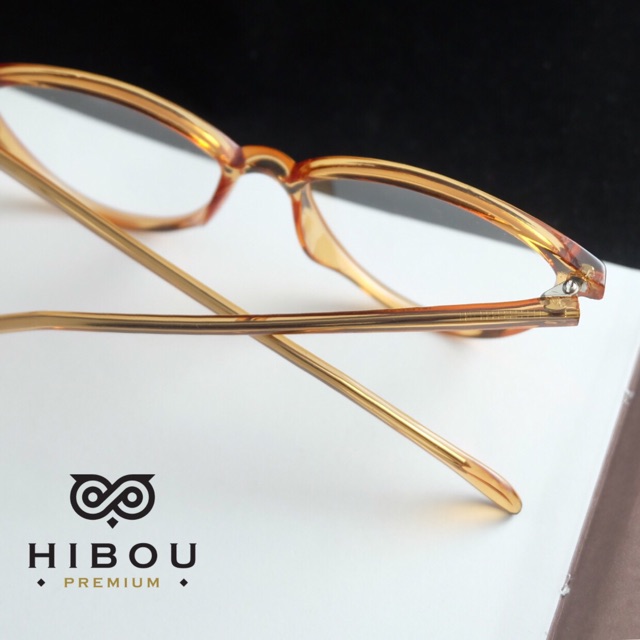 Gọng Kinh Cận GD325