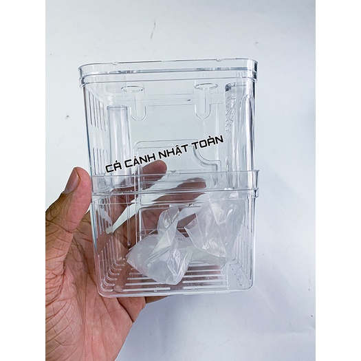 LỒNG ẤP CÁ 7 MÀU ĐẺ CỠ NHỎ 6x10x13cm