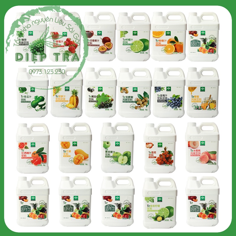 Siro TE 3kg vị: Dưa Lưới, Bạc Hà, Xoài, Dâu, Đào, Vải, Việt Quất, Dưa Hấu, Mật Ong, Chanh Leo, Chanh Xanh, Chanh Quất
