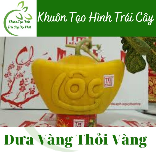 (Bưởi 1,2-1,8kg) Khuôn Thỏi Vàng Số 3 Cỡ Đại, Loại Dày 5 li, Khuôn Tạo Hình Trái Cây Chữ TÀI LỘC (Hàng Loại 1, bền đẹp)