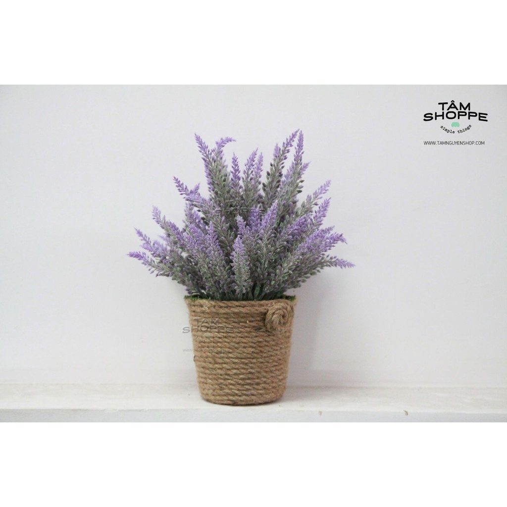 Chậu hoa để bàn Lavender TAN02