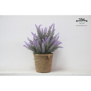 Chậu hoa để bàn Lavender TAN02