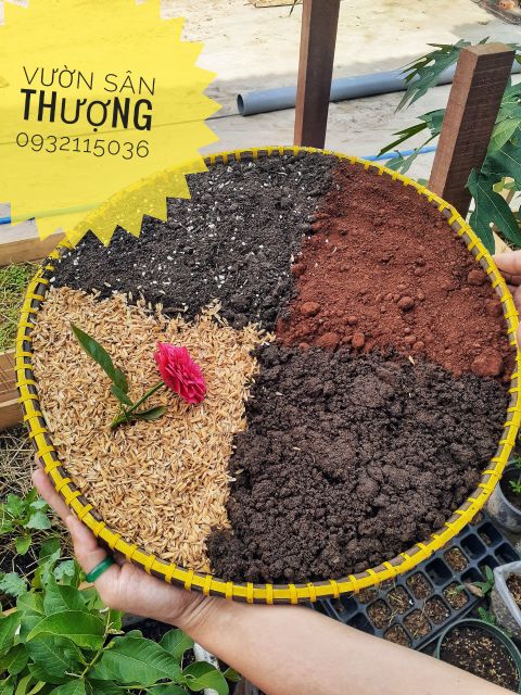 Đất Trồng Hoa Hồng (gói 0,5kg), Đất Chuyên Dụng Đã Trộn Sẵn Trồng Luôn Hoa Hồng