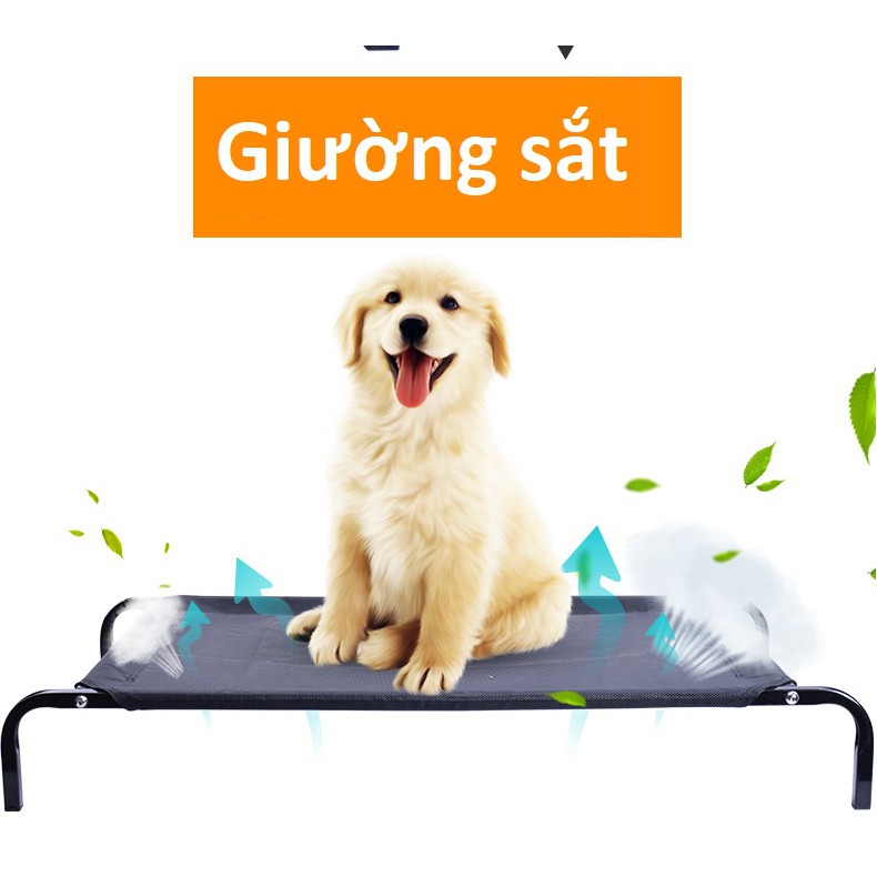 Giường chó mèo khung sắt chịu lục có thể gấp gọn loại có lưới thông thoáng cho chó mèo và các loại thú cưng
