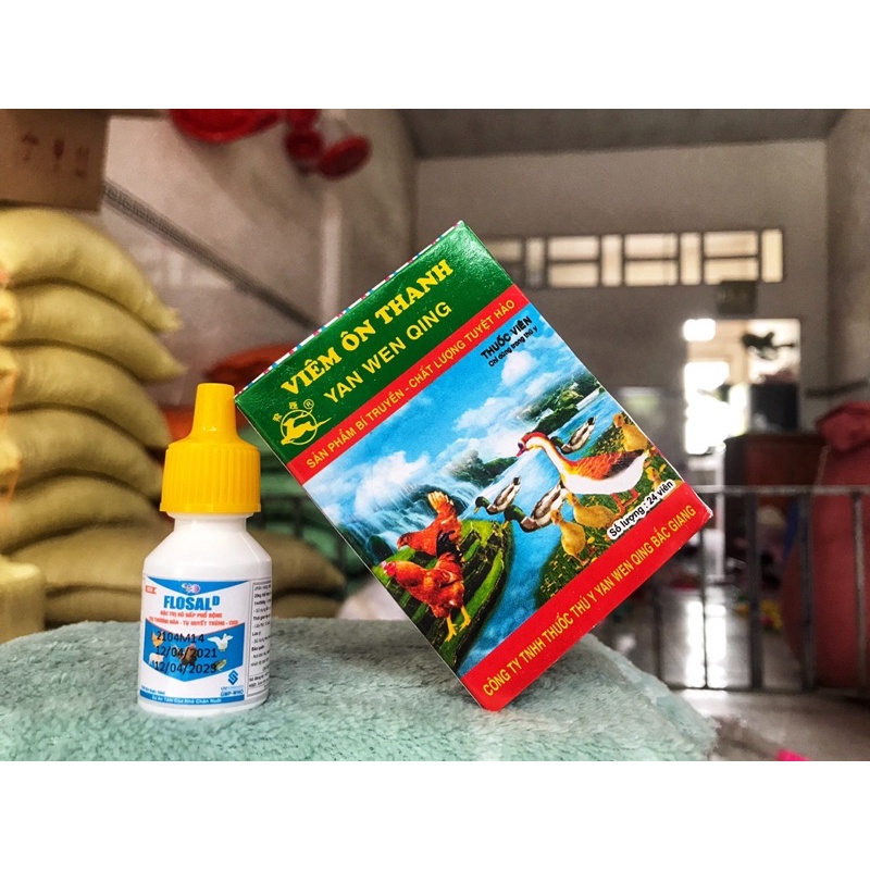 FLOSAL D & VIÊM ÔN THANH - bộ đôi điều trị khò khè, sổ mũi ở gà