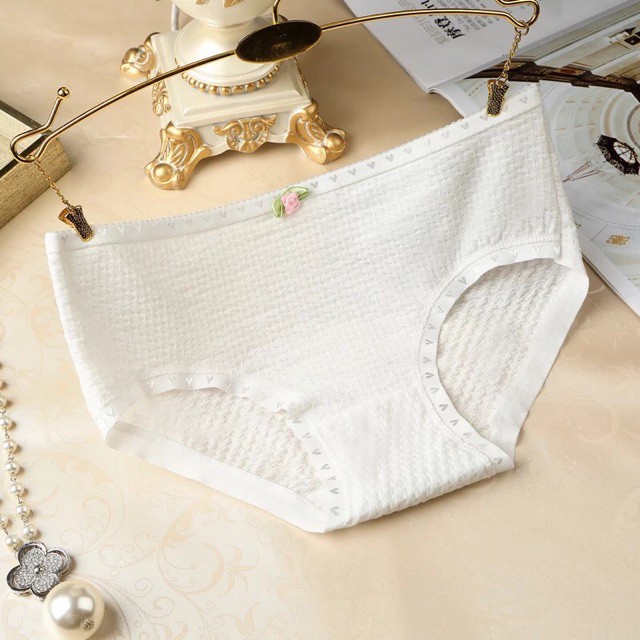 [HOT] Sỉ lố 10 quần lót cotton thông thoáng Q 104