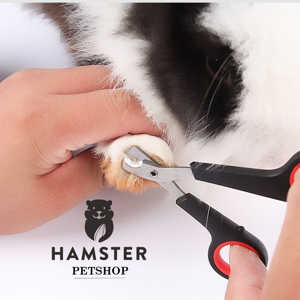 Kéo cắt móng cho hamster , thỏ , bọ , sóc
