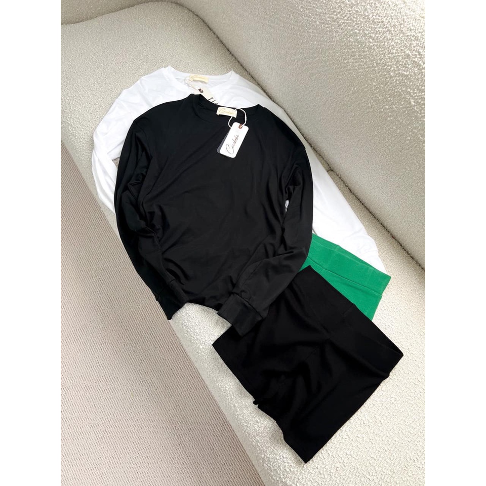 Áo thun td trơn color