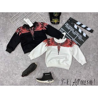 ‼️‼️Sale Áo cho bé hàng TK (nhiều mẫu)size (10_20kg)