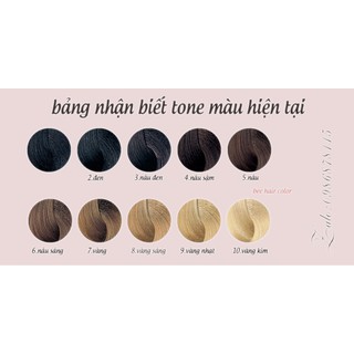 Lược Nhuộm Tóc [ có thể dùng cho nhiều lần ]