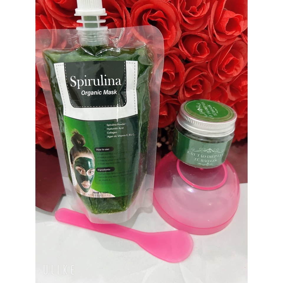 Combo sủi tảo+cấy tảo diệp lục tế bào gốc(tặng bộ bát thìa, cọ)