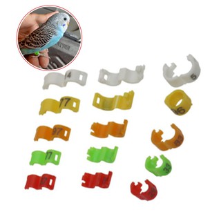 10 chiếc nhẫn kẹp chim 2,7 / 3/4 / 4,5 / 5mm nhẫn chân chim cung cấp cockatiels, vẹt đuôi dài, lovebirds nhẫn kẹp kỹ thuật số