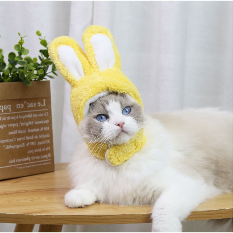 [HCM] Mũ tai thỏ dành cho chó mèo, cho thú cưng - Nón hóa trang cho thú cưng xinh xắn