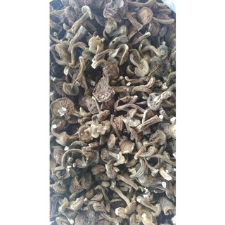 100g nấm tràm khô
