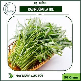 Hạt giống Rau Muống Lá Tre 50gr