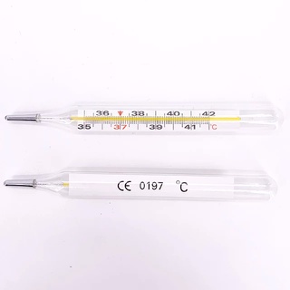 Nhiệt kế thủy ngân (1 hộp 12 chiếc bán sỉ)