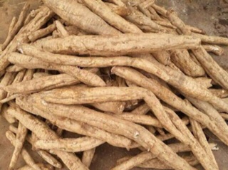 1 KG Bột Sắn Dây Thanh Hóa