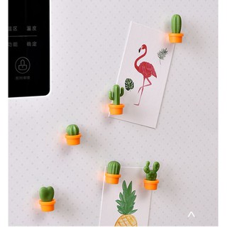 Nam châm hình chậu cây xương rồng trang trí tủ lạnh, chặn giấy note  KN STORE