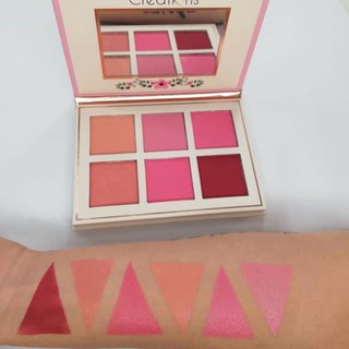 Bảng Má Hồng 6 màu Beauty Creations Floral Bloom Blush