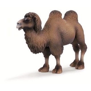 Schleich 14348 Lạc Đà Hai Bướu
