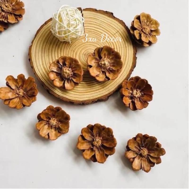 Hoa khô trang trí vintage, decor chụp ảnh, phụ kiện handmade