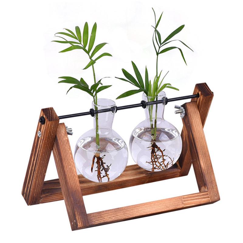 Chậu thủy tinh trồng cây kiểng
