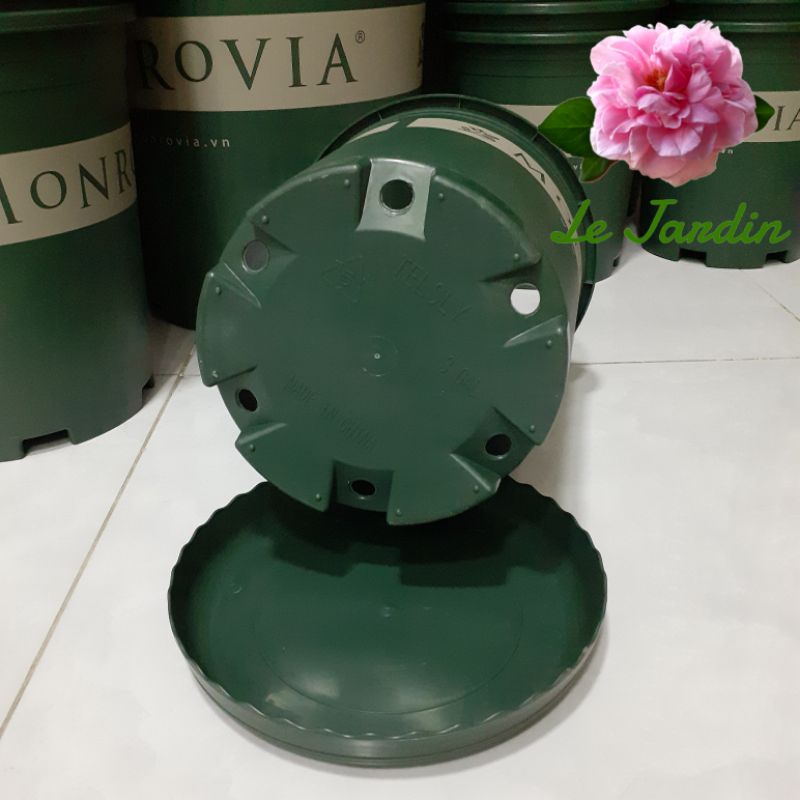 Chậu monrovia 3gl hàng nhập chính hãng Trung Quốc
