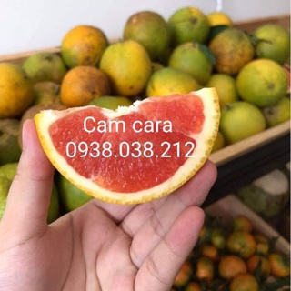 CÂY CAM CARA RUỘT ĐỎ KHÔNG HẠT ( CAM NGỌT , RUỘT MÀU ĐỎ ĐẸP MẮT )