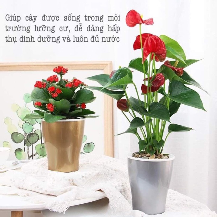 Chậu trồng cây thông minh tự tưới Oliz-W0 mẫu mới nhất