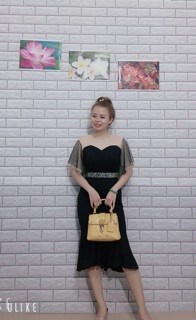 Đầm thiết kế