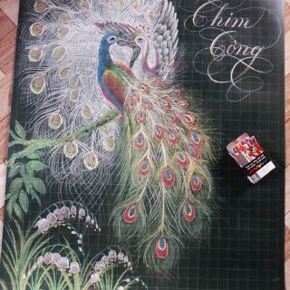 Phấn lục giác trắng