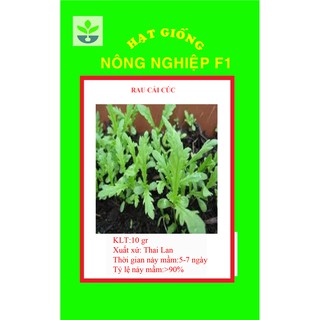 Gói 10 gr hạt giống rau cải cúc