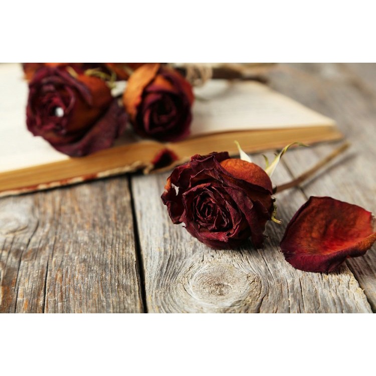 Hoa khô - Cánh hoa hồng khô 20g - Ngâm chân, ngâm tay, tắm, dưỡng da , tắm bồn Khoaitay2402