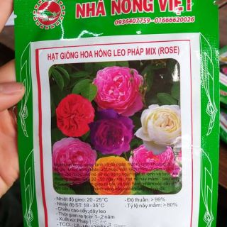 Hạt giống hoa hồng leo Pháp