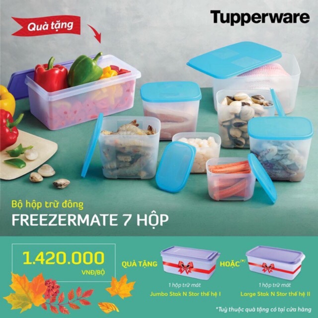 Bộ trữ đông Freezermate set 7 hộp TẶNG HỘP TRỮ MÁT TÍM