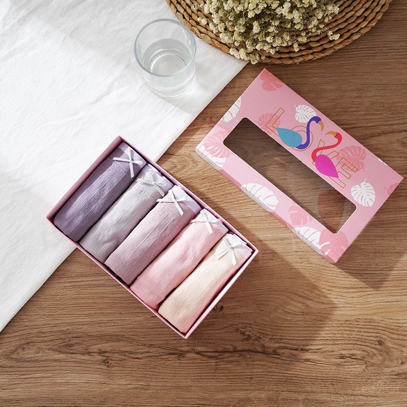 Quần lót nữ NOVSET hộp 5 quần lót nữ thiên nga kháng khuẩn cao cấp