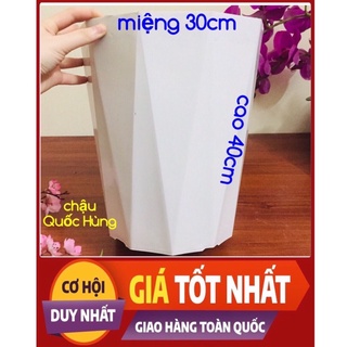 Combo 5 cái chậu kim cương size lớn