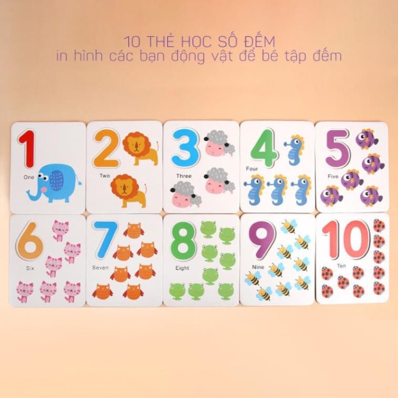 0[FreeShip - Sale Khủng] Dụng Cụ Học Tập Bộ 10 Thẻ Số, 100 Que Tính, Phép Tính Cho Bé Học Toán Như Siêu Trí Tuệ Việt Nam