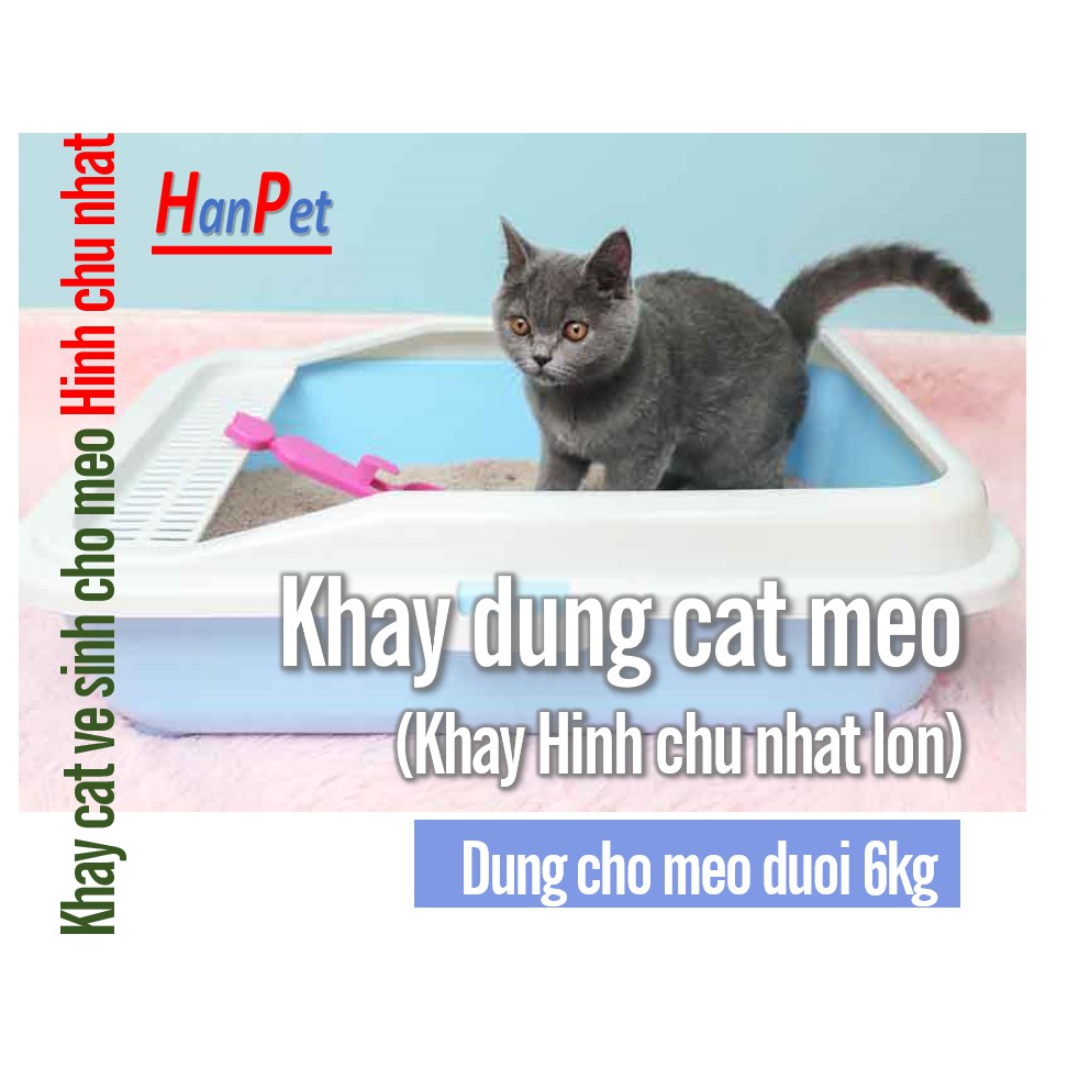 HN - Khay vệ sinh ( 3 loại) Khay đựng cát vệ sinh cho mèo tặng kèm 1 xẻng xúc cát mèo Màu ngẫu nhiên