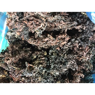 Rong biển nấu sâm Nha Trang 500g