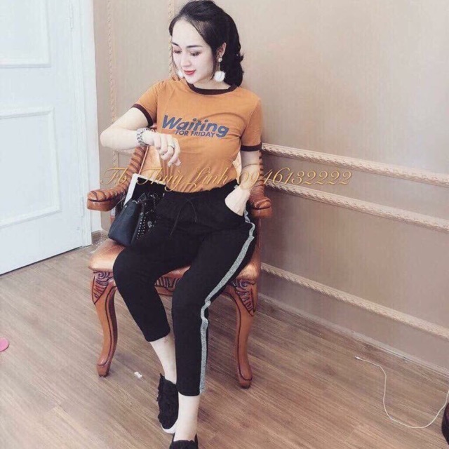 Áo thun viền