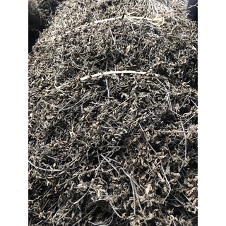 1kg Cây thạch đen khô "Sương sáo"