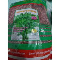 Hạt giống mùi, ngò pháp hạt lớn 1kg