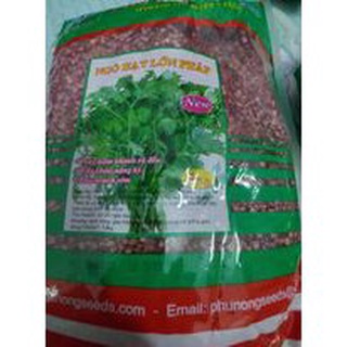 Hạt giống mùi, ngò pháp hạt lớn 1kg