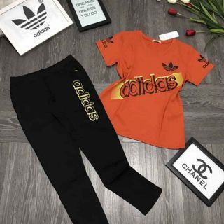 Hàng chốt live 155k