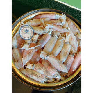 [GIAO HỎA TỐC SG] Mực sữa Phan Thiết tươi ngon 500g