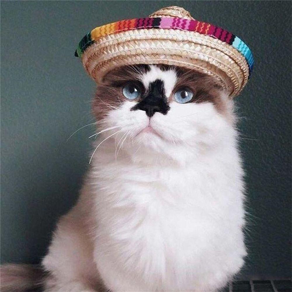 Mũ Rơm Đan Nhiều Màu Sắc Cho Thú Cưng Kat1