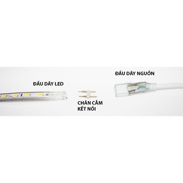 Đầu nguồn led dây 3014 5050 2835 cắm điện 220V